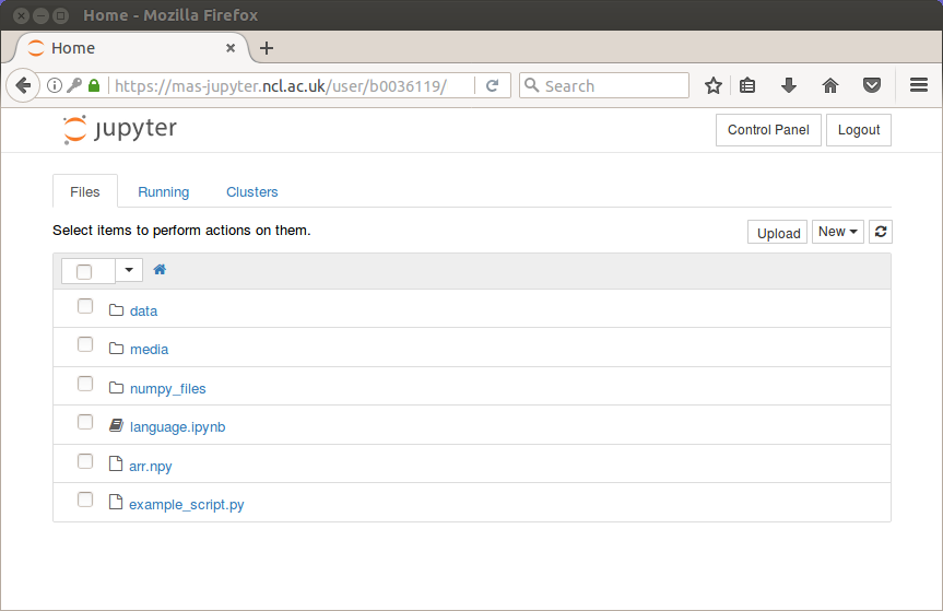 Screenshot showing the jupyter home page